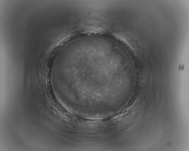 X0000097921399200803141430