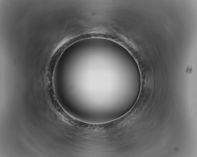 X0000097921400200803141430