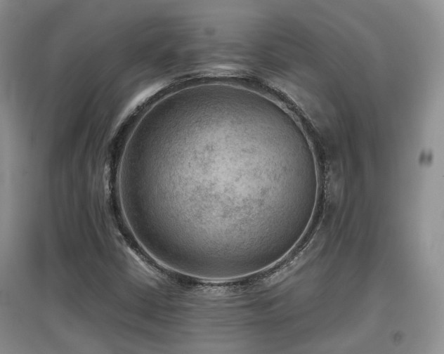 X0000097921402200803141430