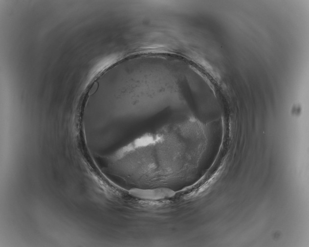 X0000097921405200803141430