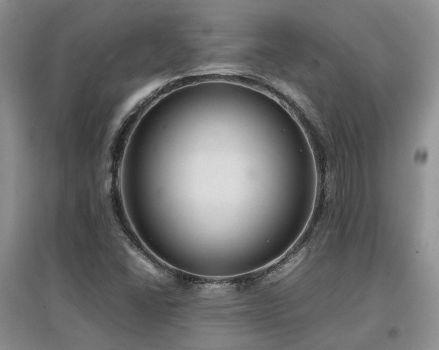 X0000097921406200803141430