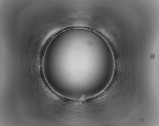 X0000097921408200803141430