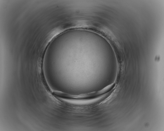 X0000097921409200803141430