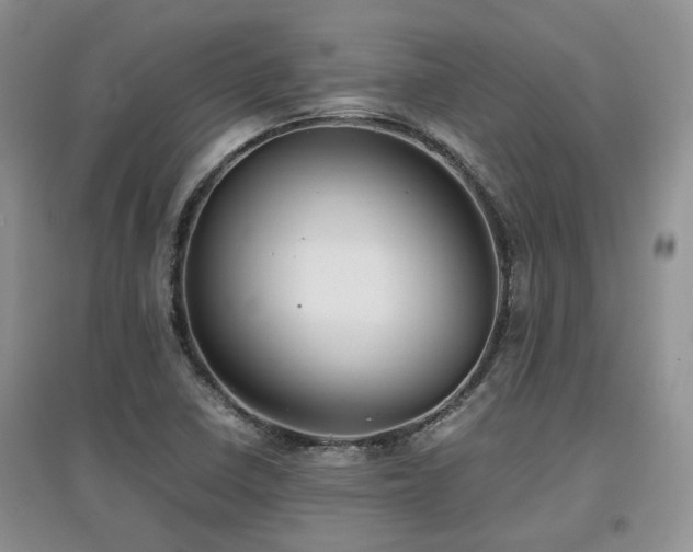 X0000097921410200803141430