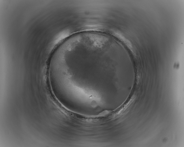 X0000097921411200803141430