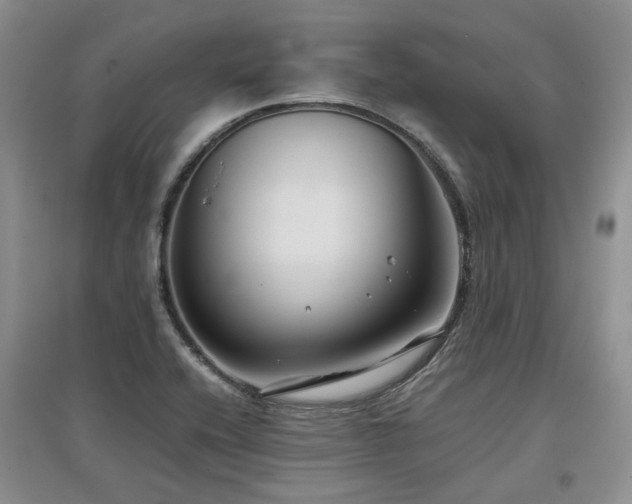 X0000097921416200803141430