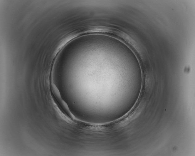 X0000097921417200803141430