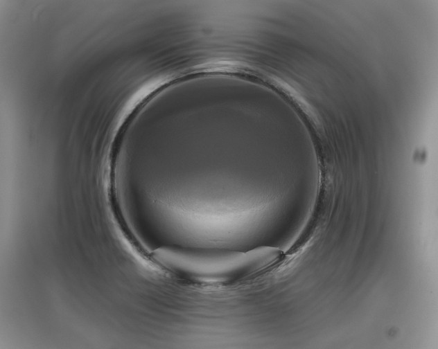 X0000097921418200803141430
