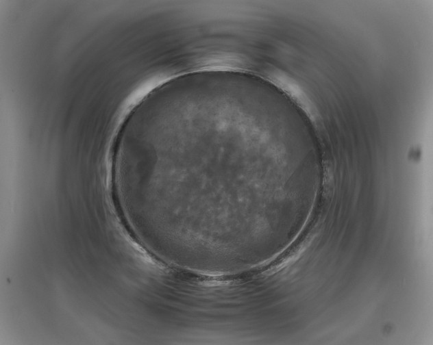 X0000097921419200803141430