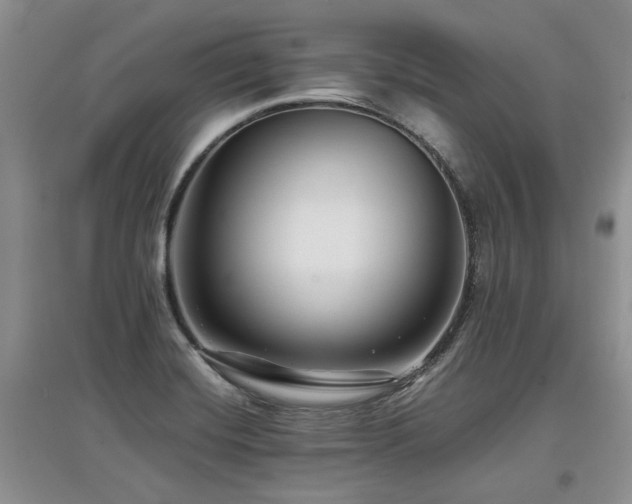 X0000097921420200803141430