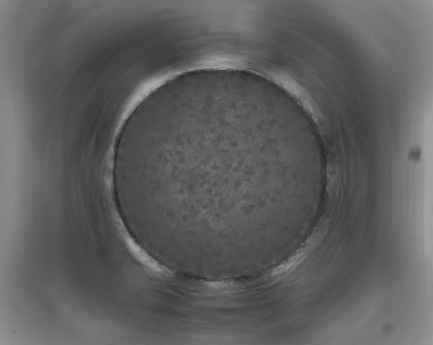 X0000097921421200803141430