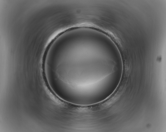 X0000097921422200803141430