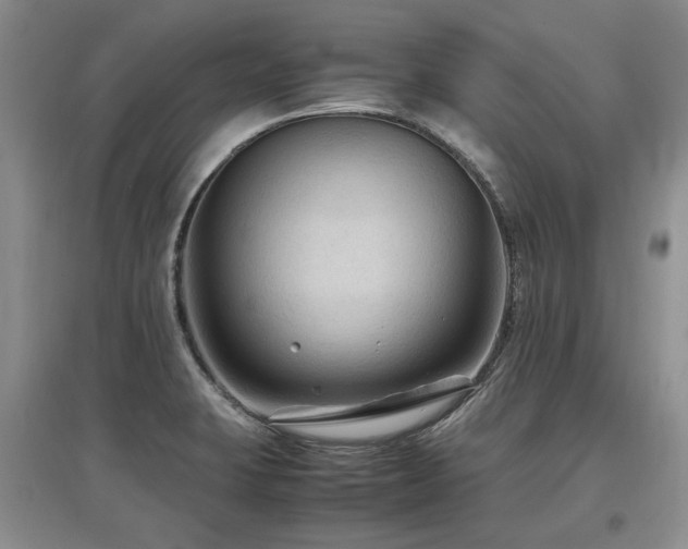 X0000097921423200803141430