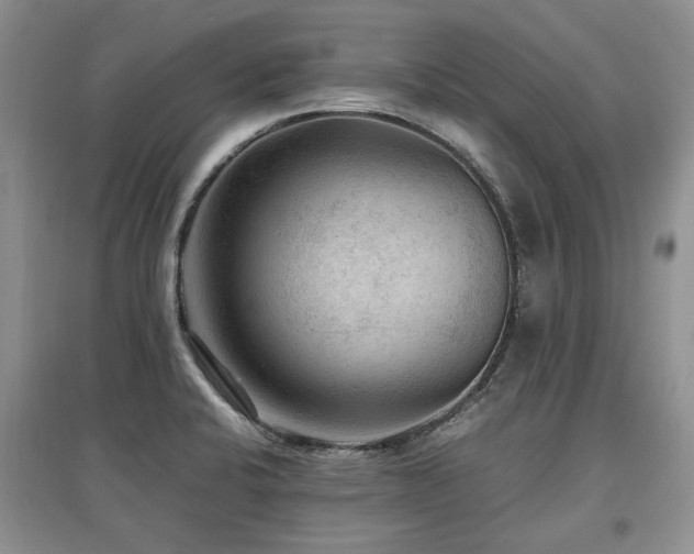 X0000097921424200803141430