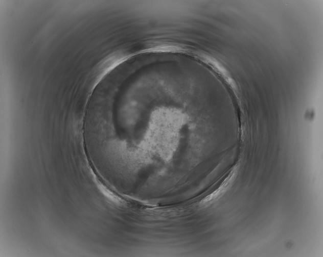 X0000097921425200803141431