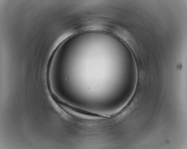 X0000097921426200803141431