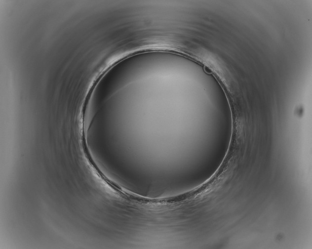 X0000097921428200803141431