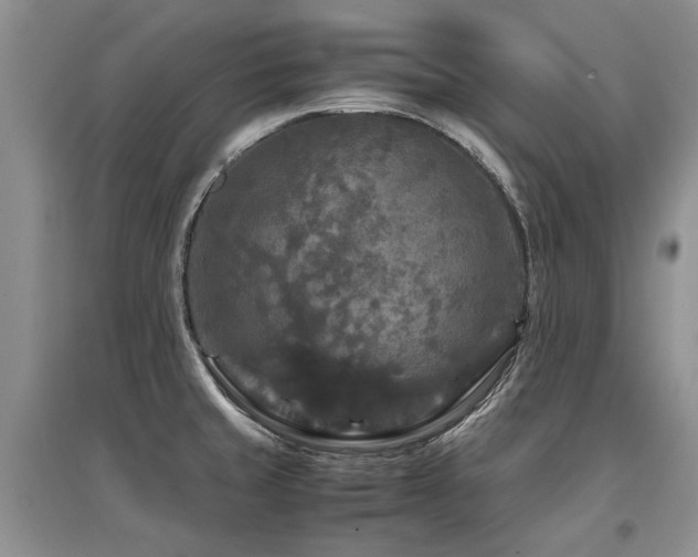 X0000097921429200803141431