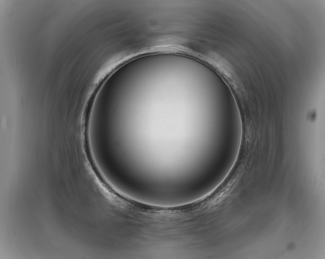 X0000097921430200803141431