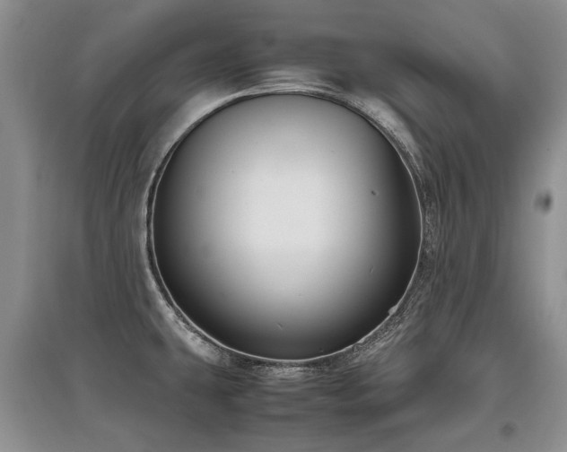 X0000097921431200803141431