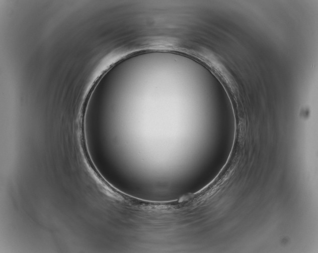 X0000097921432200803141431