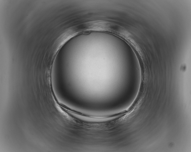 X0000097921433200803141431