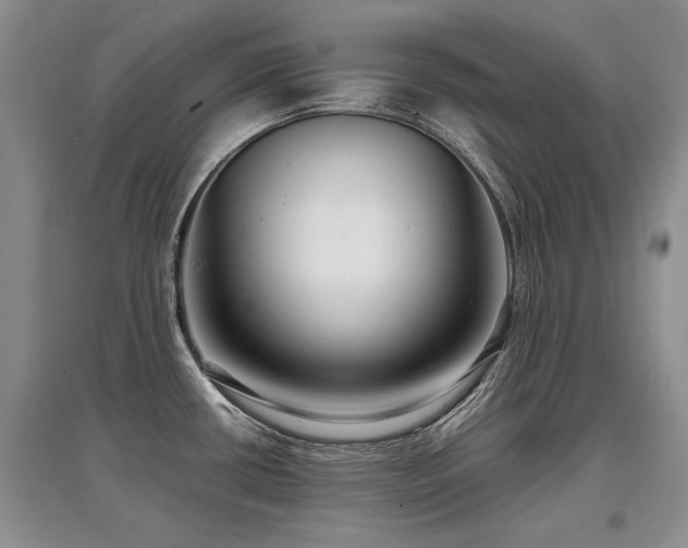 X0000097921434200803141431
