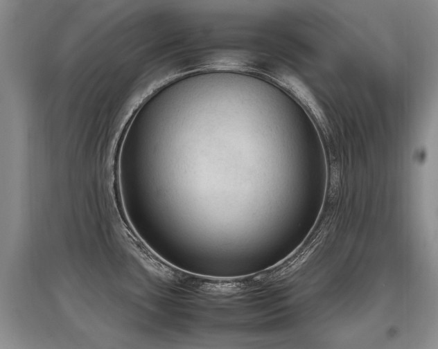 X0000097921435200803141431