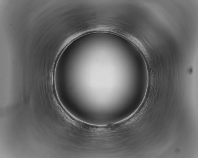 X0000097921436200803141431