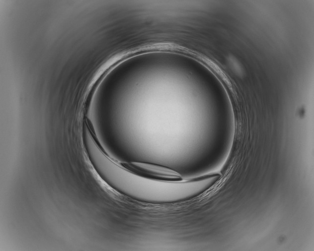 X0000097921438200803141431