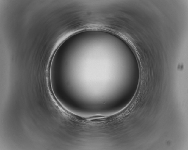 X0000097921440200803141431