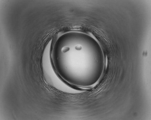 X0000097921441200803141430