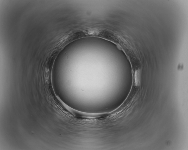 X0000097921443200803141430