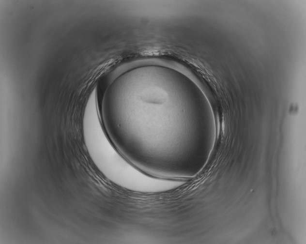 X0000097921444200803141430