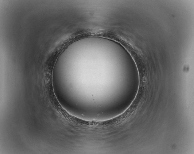 X0000097921447200803141430