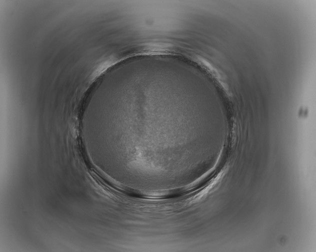 X0000097921449200803141430