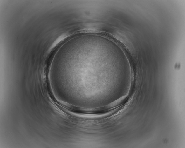 X0000097921450200803141430