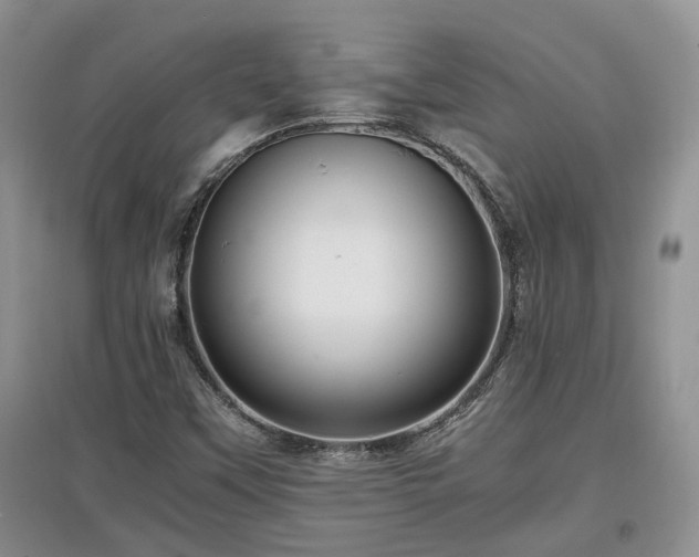 X0000097921451200803141430