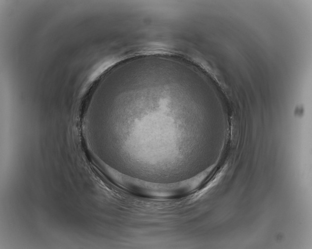 X0000097921453200803141430
