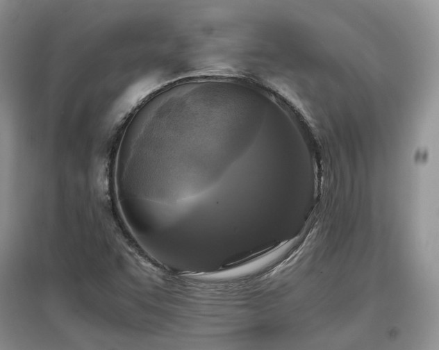 X0000097921455200803141430