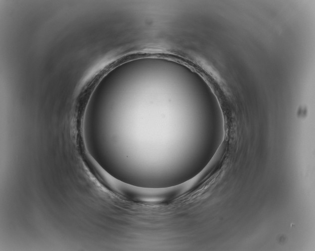 X0000097921456200803141430
