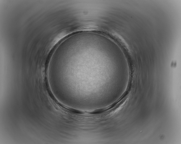 X0000097921457200803141430