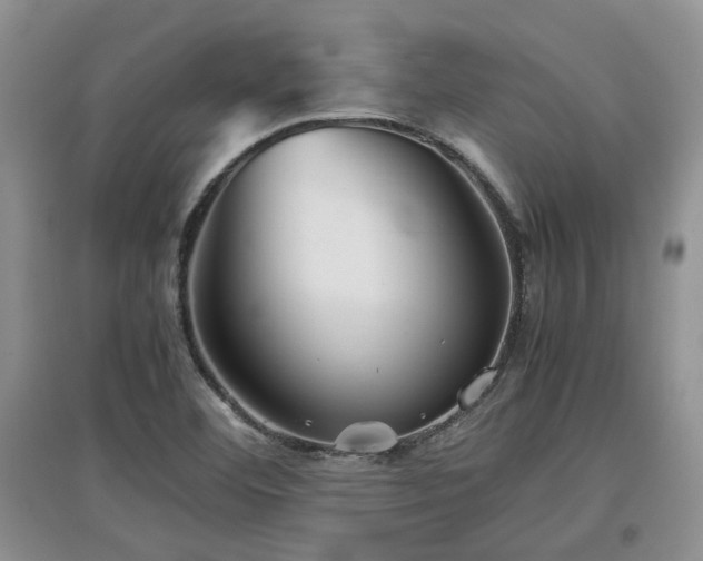 X0000097921460200803141430