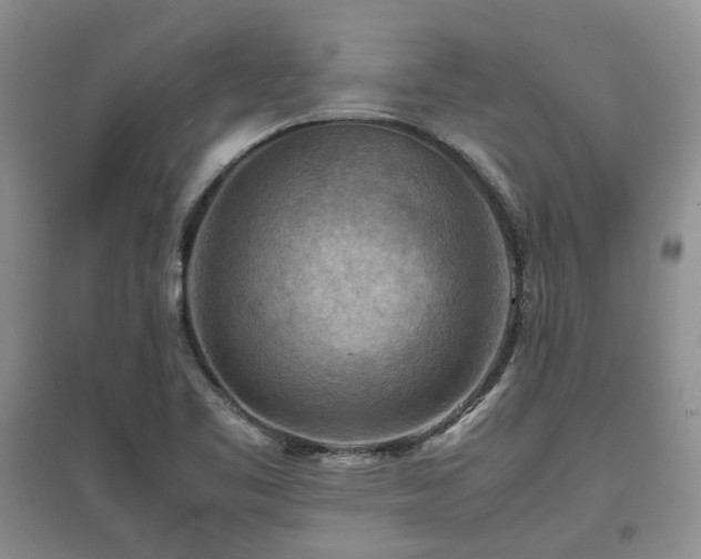 X0000097921461200803141430