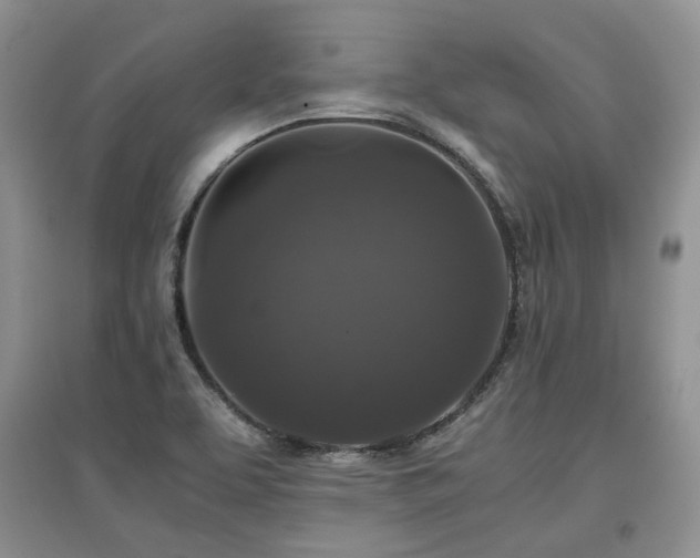 X0000097921463200803141430