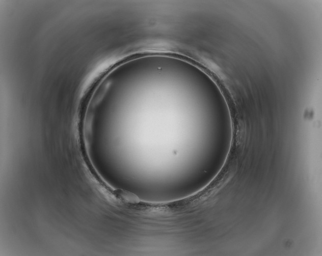 X0000097921464200803141430