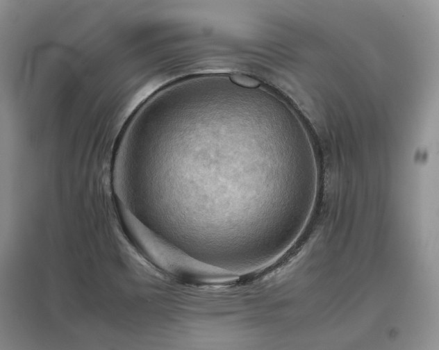 X0000097921465200803141430