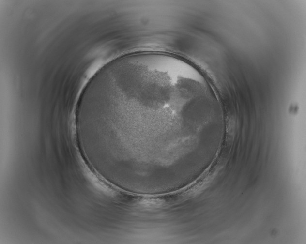 X0000097921466200803141430