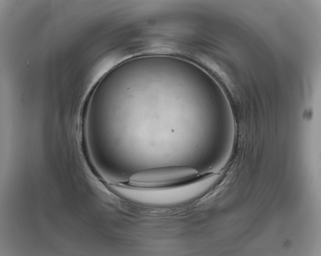 X0000097921467200803141430