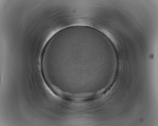 X0000097921468200803141430